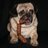 Mr_pee_pug's profile image