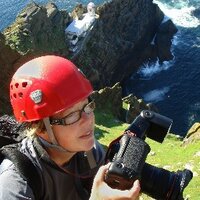 Valerie O'Sullivan (@valerieosull1) 's Twitter Profile
