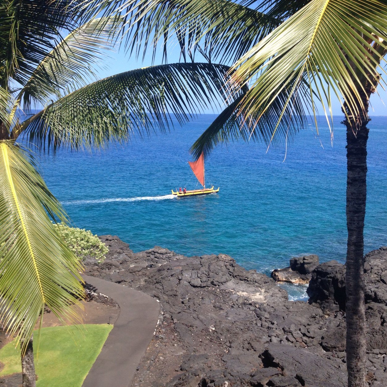 chachadog's profile picture. hard working animal lover who is open minded, idealistic and believes we all have something to contribute and learn from one another.