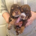 Kathryn Healey - @KathrynHuish - Twitter