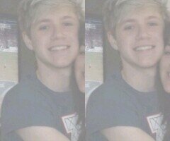 hiii my old acc got hacked | obsessed with a boyband | niall horan is perfect tbh | one day/5 |