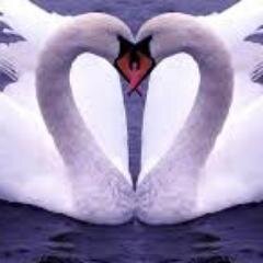 TasneemOmarImam's profile picture. No one will be perfect just try not to fall in mistakes and faults