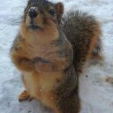 Steven Rausch - @mtbmdk - Twitter