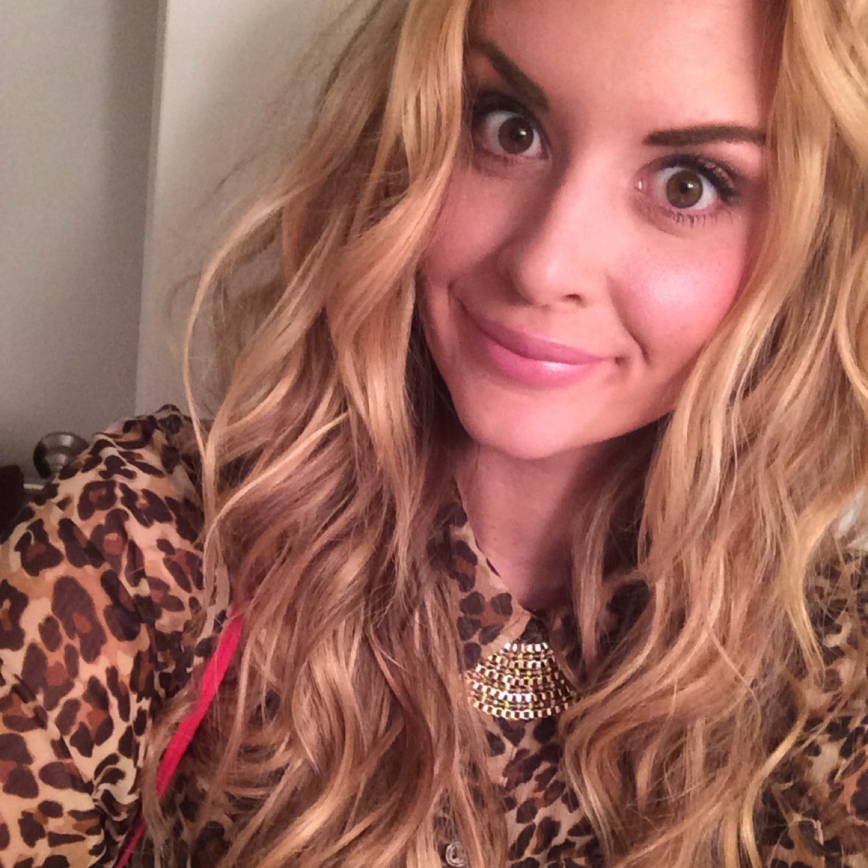 feilzilla's profile picture. 