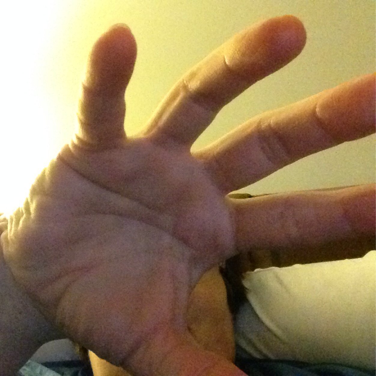 LCBeauchamp's profile picture. 