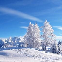 Te enseñamos los mejores paisajes del mundo entero.