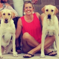 Lindsay Foster (@lfoster303) 's Twitter Profile