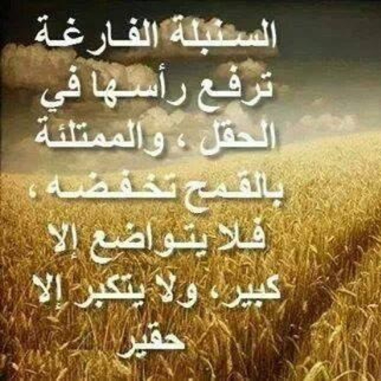 صل على محمد.