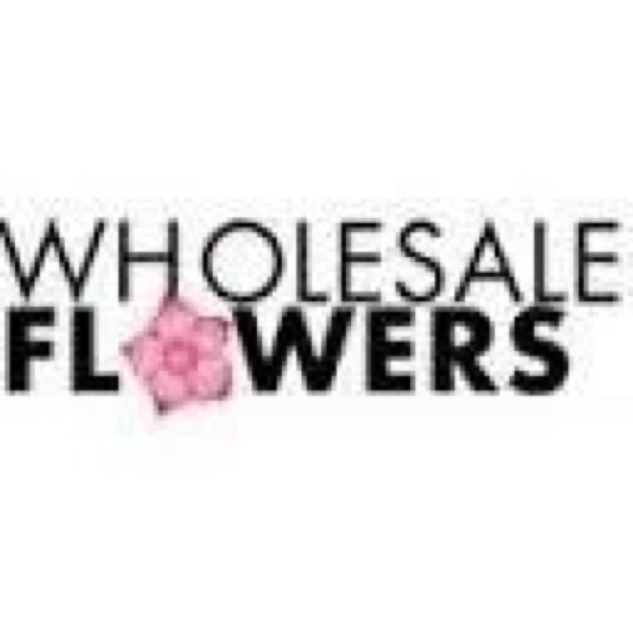 WSFlowers's profile picture. WholesaleFlowers.ie is Ireland's largest and fastest growing online Wholesale Florist . Now available in the UK as well - http://t.co/EM28kJRNXx