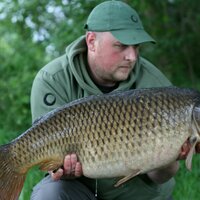 Paul Hatton (@paulhattoncarp) 's Twitter Profile