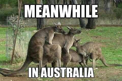 its life innit?