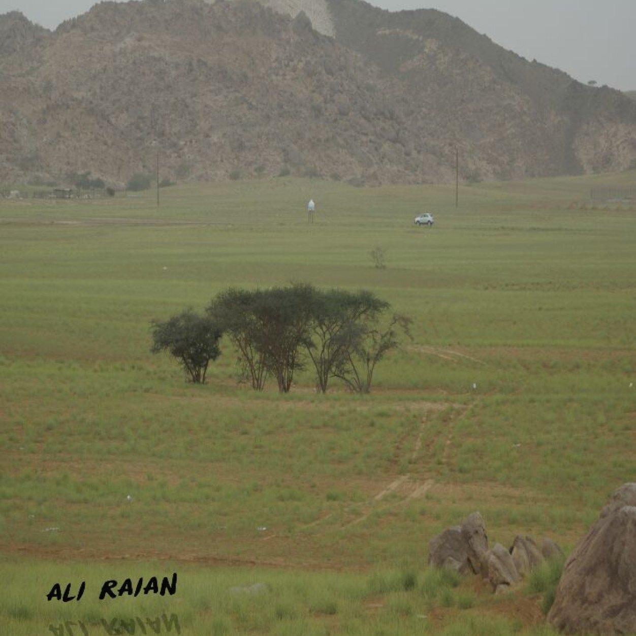 المملكة العربية السعودية / عسير