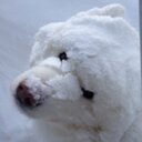 eddie okeefe - @OkeefeEddie - Twitter