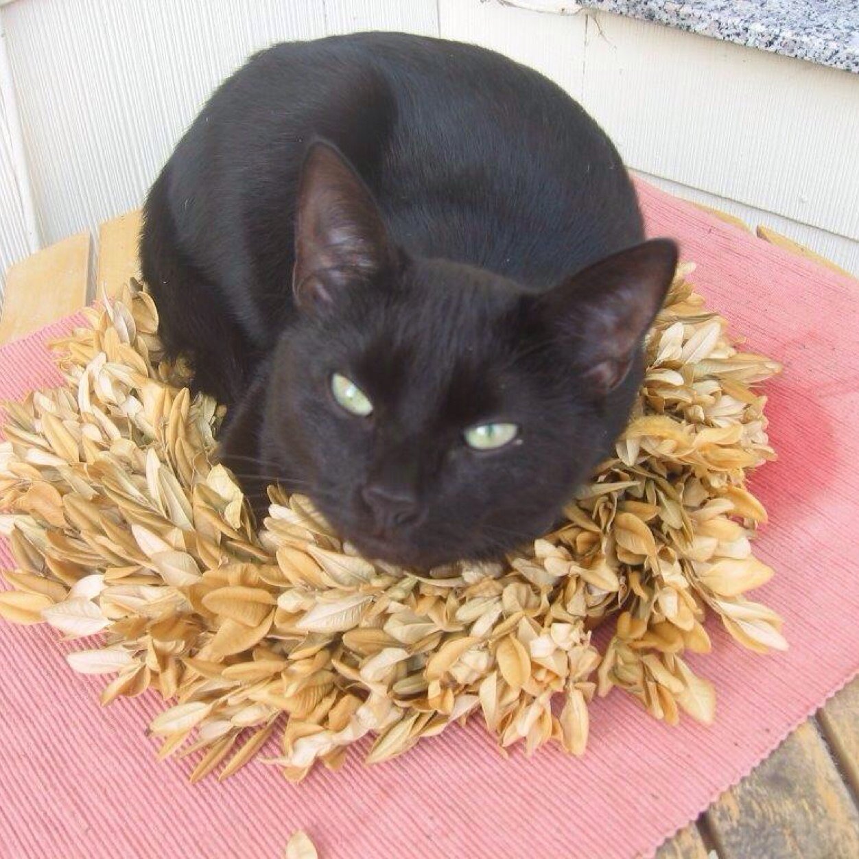 romeo_kaiser's profile picture. Fsk18+|| Betreten auf eigene Gefahr. Wein, Weib mit Gesang in meinen Ohren Götterklang. Geborener Scherzkeks und Zwangsreimer.-;)