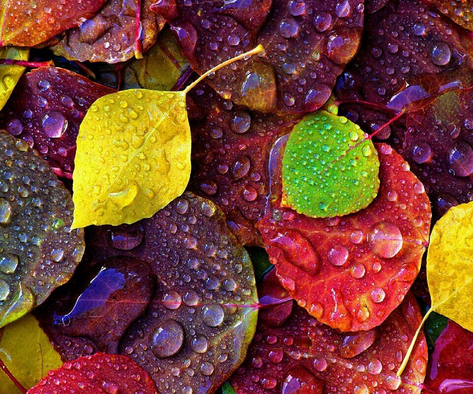 Retiwteame's profile picture. las mejores fotos de Lanzarote