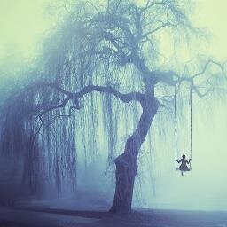 WillowBerks's profile picture. Willow Berks 16