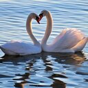 ete love (@1978Ete) Twitter