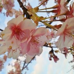 日本の行く末を按じるおじさんです。国民負担率高すぎ！平均所得は上がらない！技術を盗まれ過ぎ！