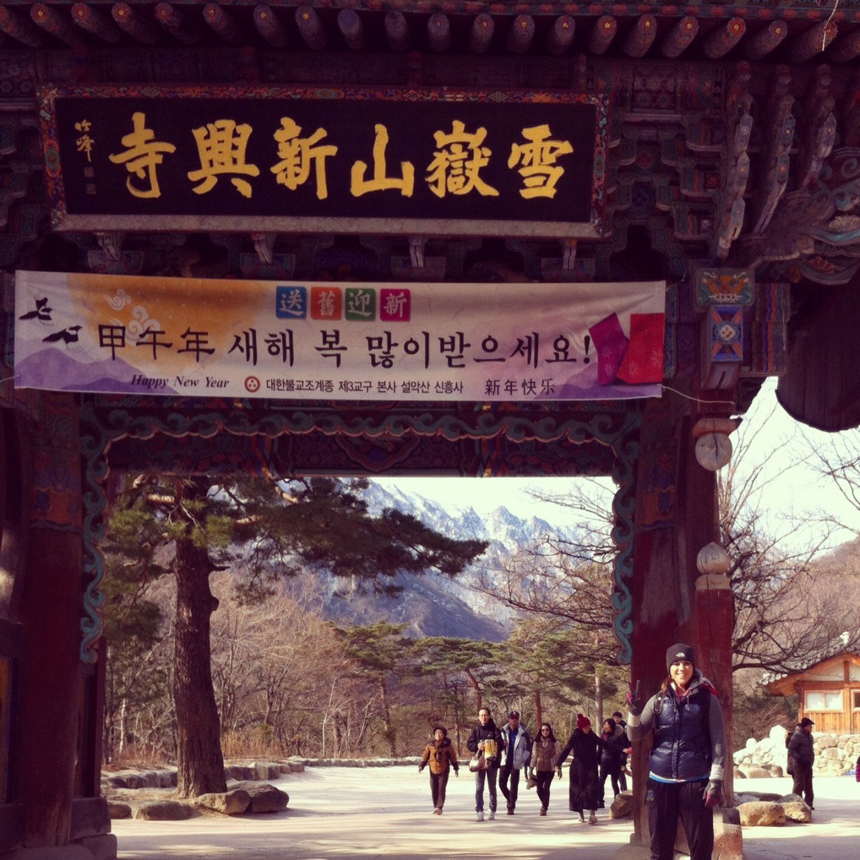 Work at Prinston Review (Hyundai/Kia motors) in Seoul, ROK. Adventure runner/international racer and aspiring amatuer triathelet