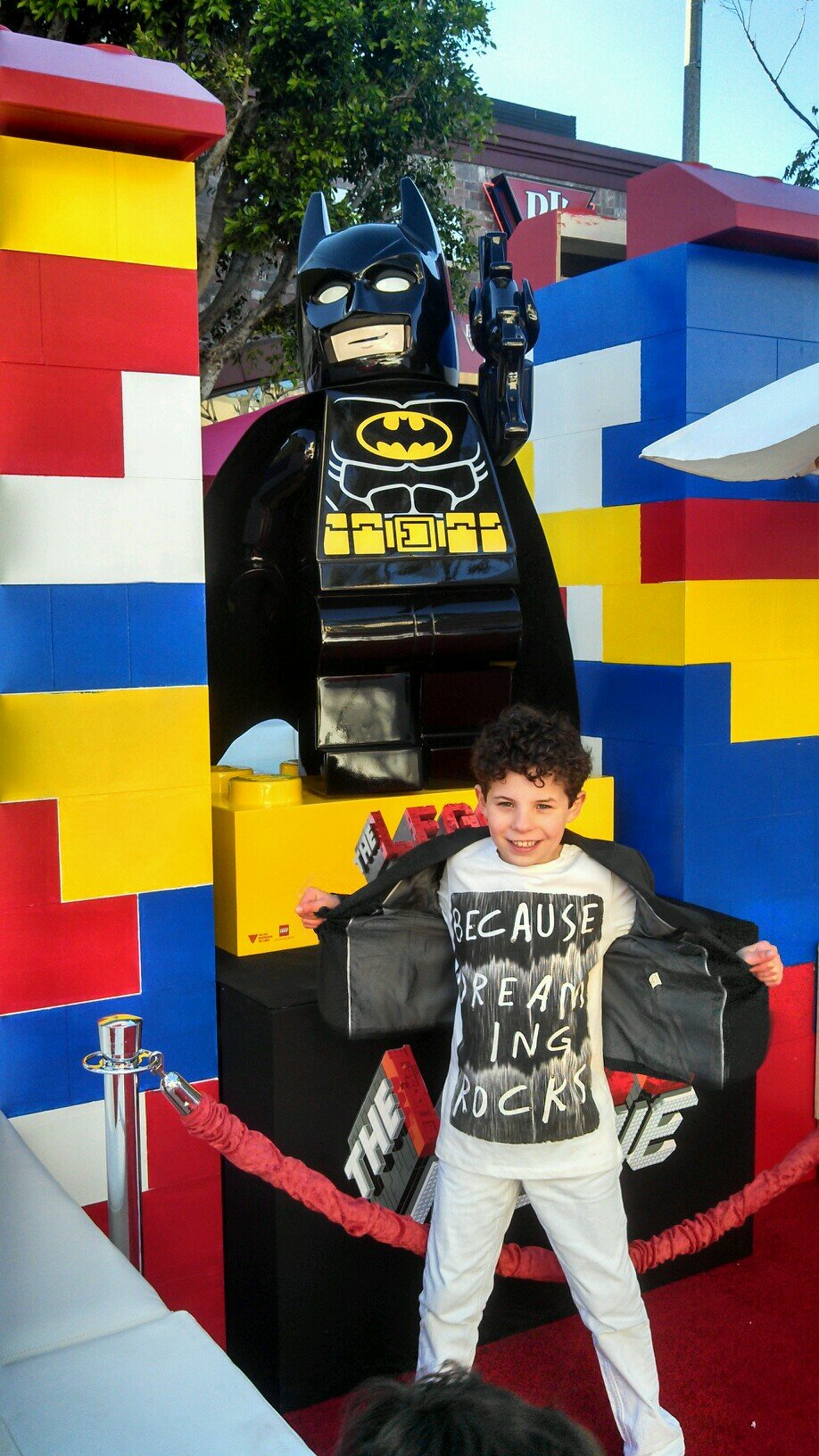 JadonSand's profile picture. Actor: The Affair, Lego Movie, Jake and the Neverland Pirates, artist, author, and super reader!