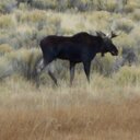 Paul Mikelson - @pablo79raider - Twitter