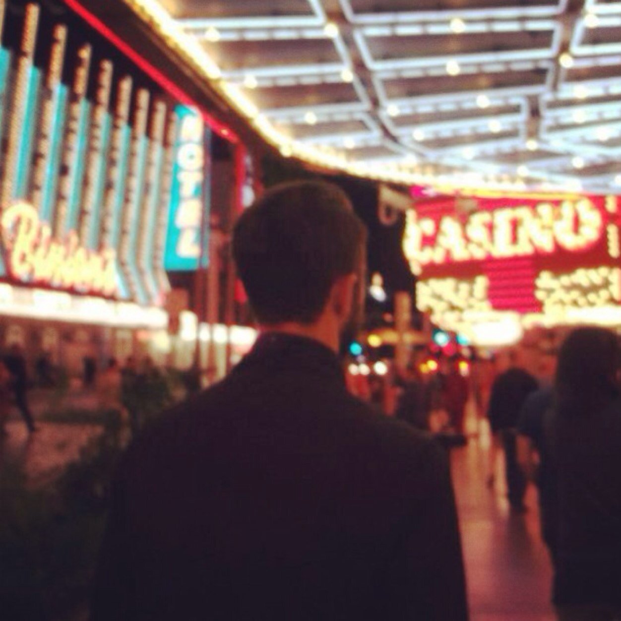 tomcmorris's profile picture. 