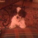 James Fairley - @FairwayFairley - Twitter