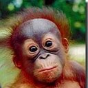 Stephen bibby - @ste_bibs - Twitter