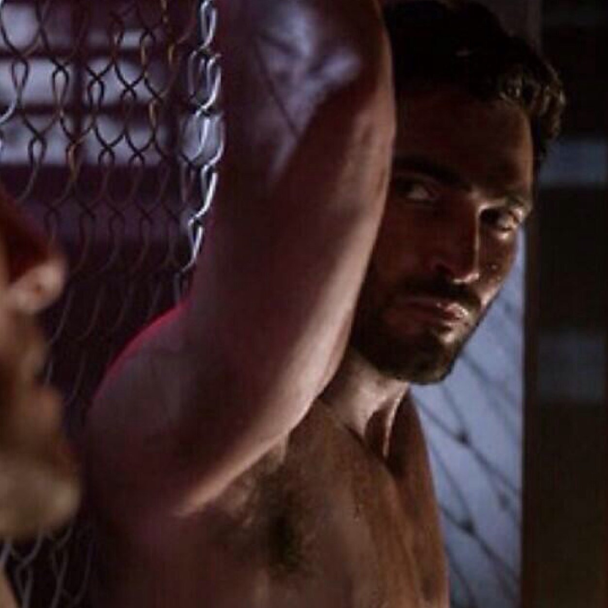 AlphaMaleDer's profile picture. Alpha wolf. Single. Gay.