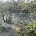 Dalton Moon - @1810044055 - Twitter