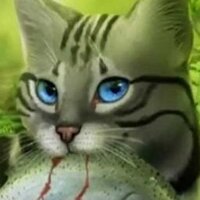 Icepaw (@icekit1) 's Twitter Profile