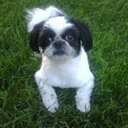 Shelly Ford - @ShellyAnnFord - Twitter