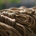 Knot Knormal (@knotknormalrope) Twitter profile photo Knot Knormal (@knotknormalrope) Twitter profile photo