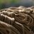 KnotKnormalRope's profile image