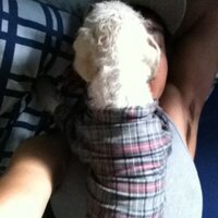 It's just me. (@soybutters) 's Twitter Profile