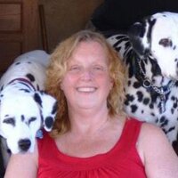 Kelly Amos (@oakvilletrustee) 's Twitter Profile Photo Kelly Amos (@oakvilletrustee) 's Twitter Profile Photo