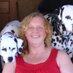 Kelly Amos (@oakvilletrustee) Twitter profile photo