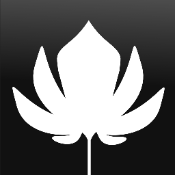 isshii's profile picture. プログラミング、MTGなど。