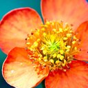 Becky - @BeckyHale88 - Twitter