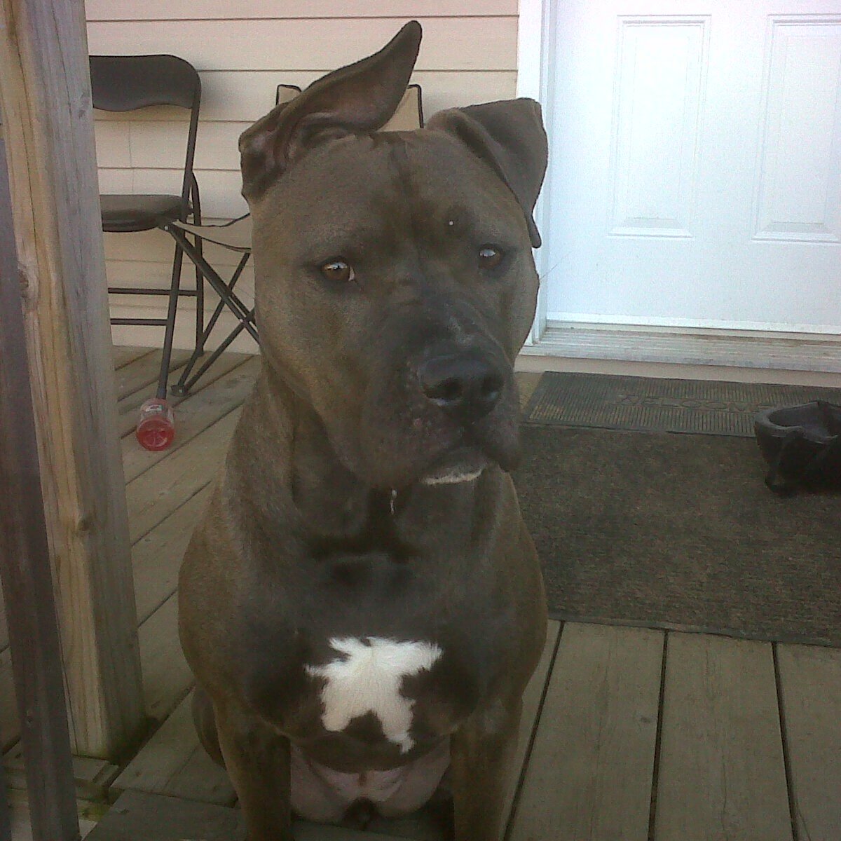 fluxcore99's profile picture. 