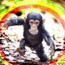 Tim Hutchinson - @Wuhan_rising - Twitter