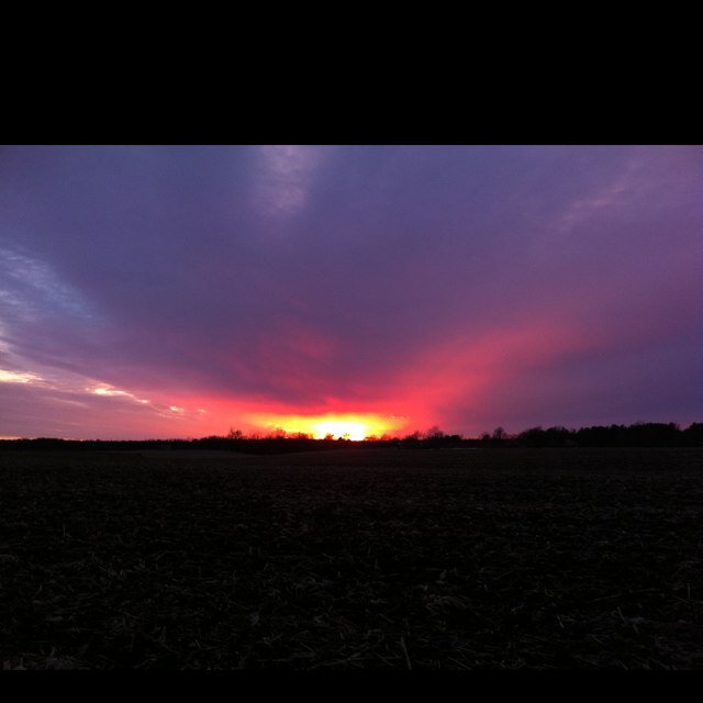 pstapes1's profile picture. 