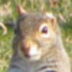 CrakeNSteak's profile picture. If you're looking at American society now & saying, 'yeah, this seems fine,' I don't know what to tell you.