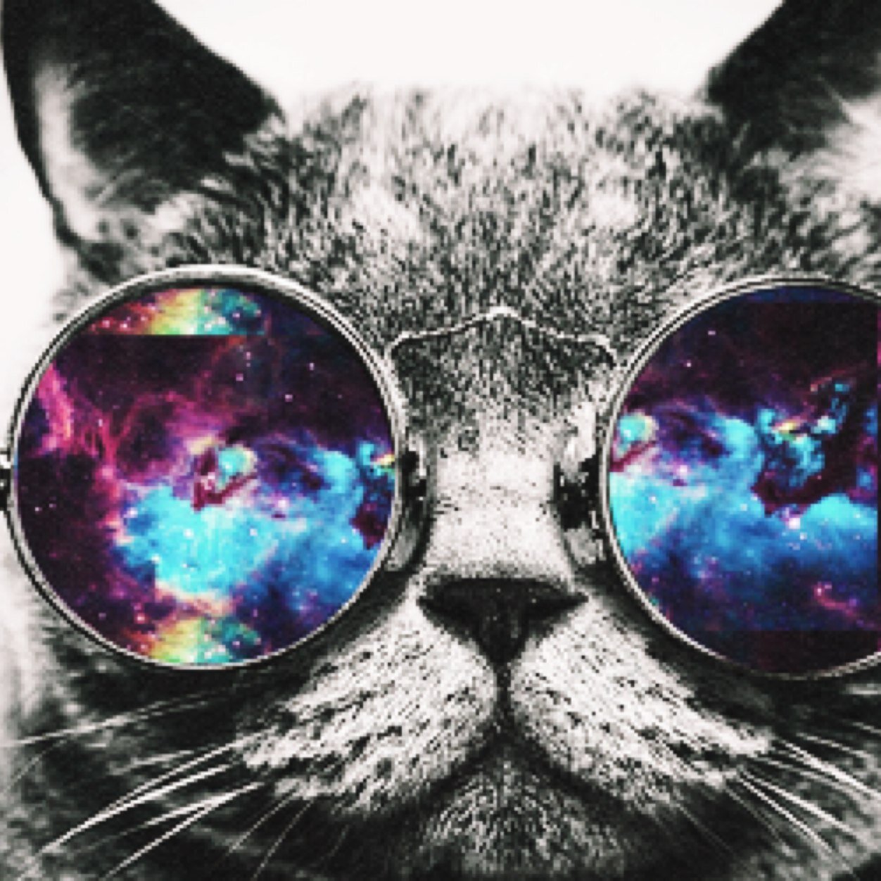 unicyclists's profile picture. -Twitter Business-