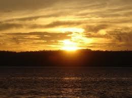 ─╔╗╦╔╗╔╗──╦╗╔═──╗╔╔╗╦╔╦╗╔╗─ ─╚╗║║╦║║──║║╠═──║║║║║─║─╠╣─ ─╚╝╩╚╝╚╝──╩╝╚═──╚╝╚╝╚═╚─╝╩─