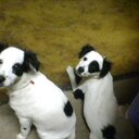 olga alfaro - @Olga25Alfaro - Twitter