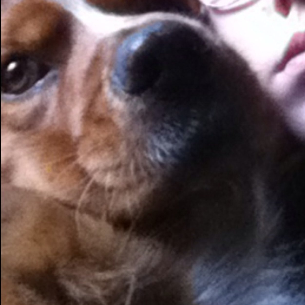 RodrigoSesmonde's profile picture. lÁ kHAliDa dEé lÓ vÚÉnÓ