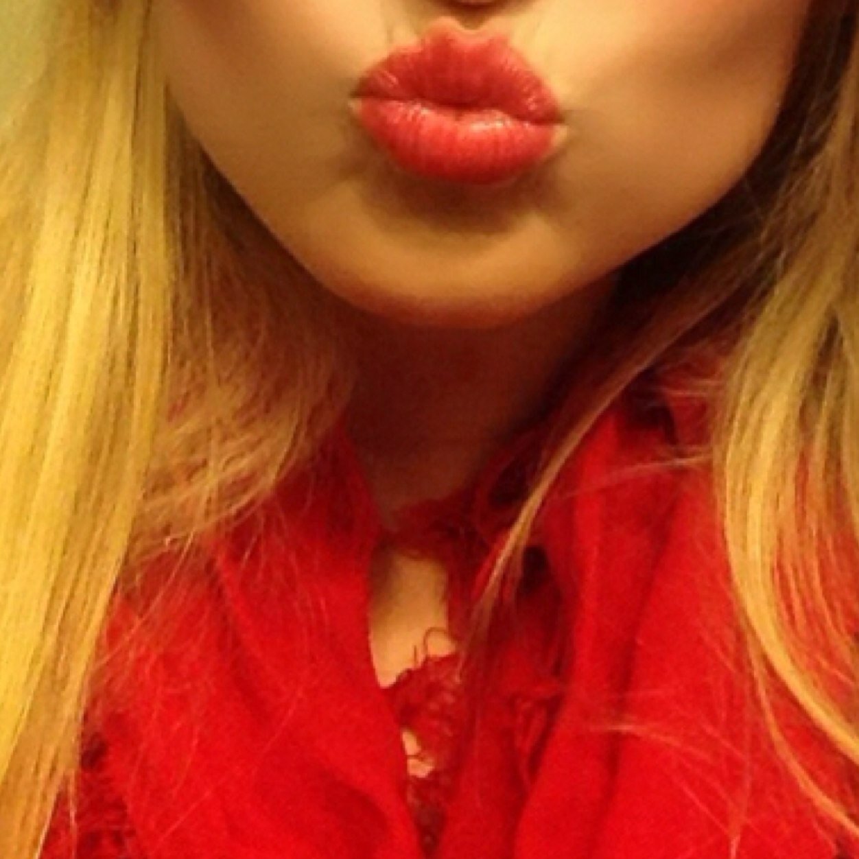 NCsoutherncutii's profile picture. 