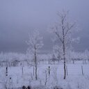 Deb Morrison - @deb_debber - Twitter