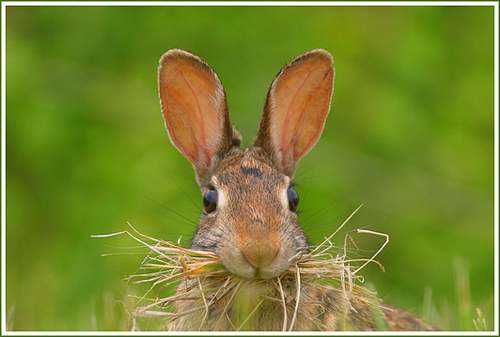 beertnerb's profile picture. It took me like 5 years to find where to type in something for my bio so might as well put something here.